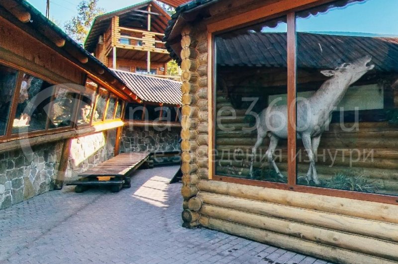 база отдыха кура цеце загородный клуб краснодар 41